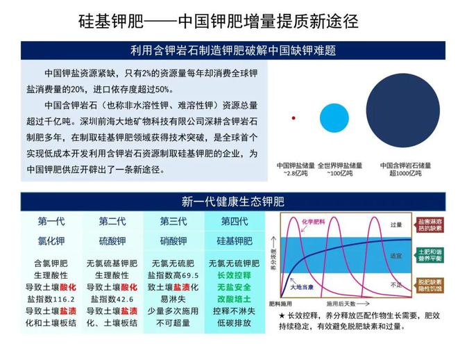 必威获奖名单公布创新南山2024“创业之星”新材料行业赛决赛落幕(图7)