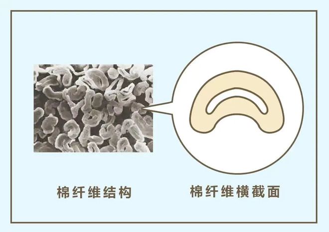 必威秋天忽冷忽热真心劝你给娃换上这种衣服(图1)