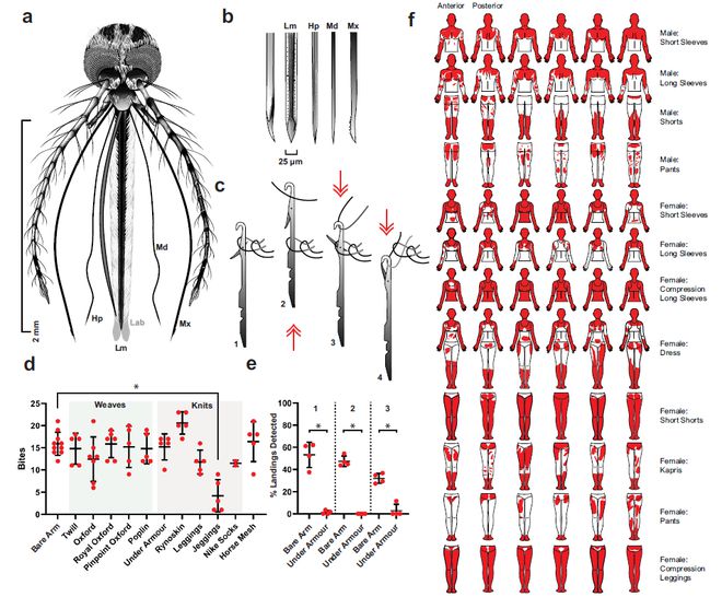 必威这件衣服被Nature亮点报道可防蚊子叮咬还透气！(图4)